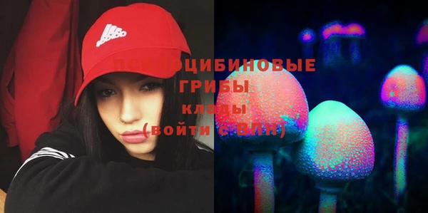 PSILOCYBIN Заволжск
