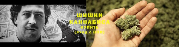 PSILOCYBIN Заволжск