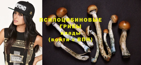 мдпв Заволжье